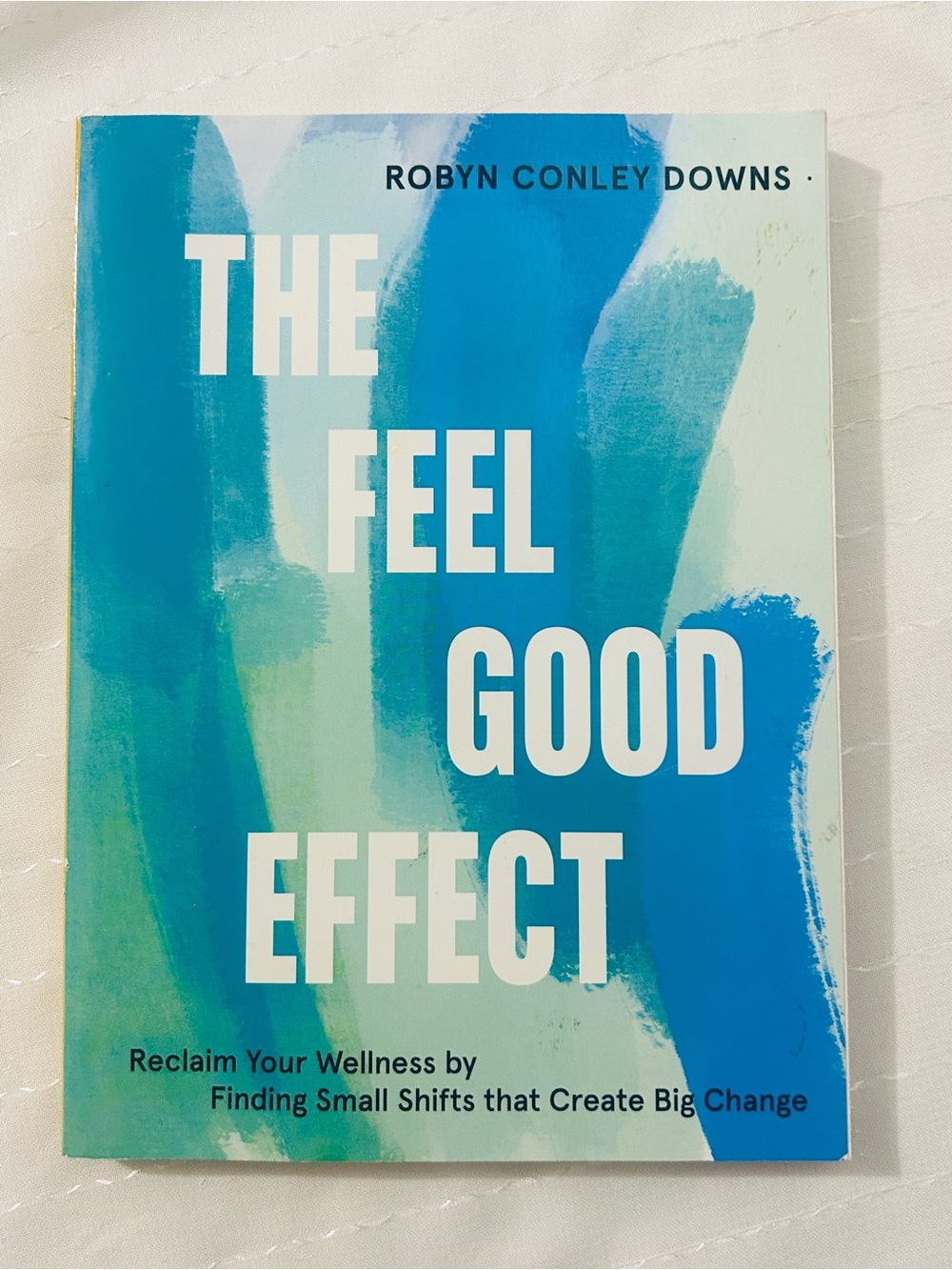 The Feel Good Effect by Robyn Conley Downs - Blue Abstract Cover
